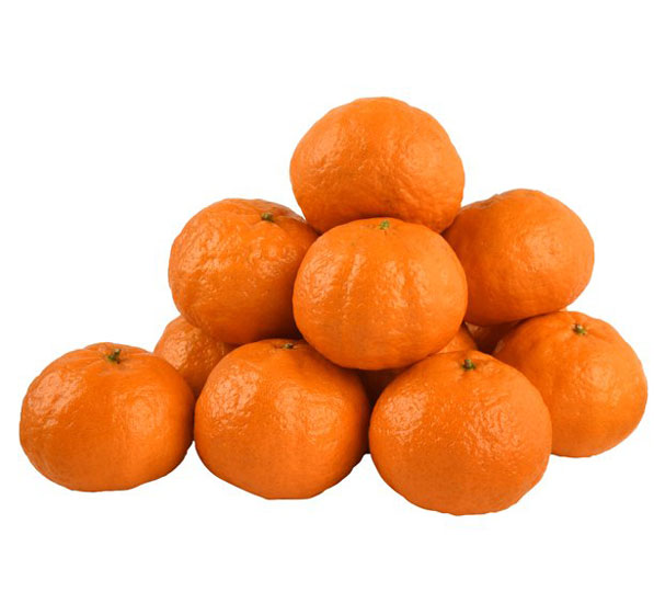 نهال نارنگی نوشین (Noushin)
