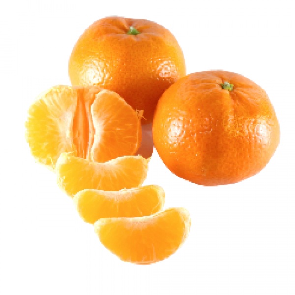 نهال نارنگی پرنا(Parna)