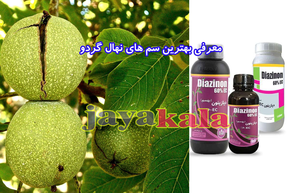 معرفی بهترین سم های نهال گردو