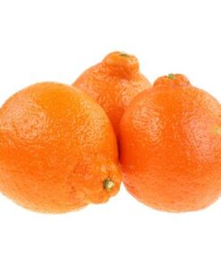نهال نارنگی تانجلو