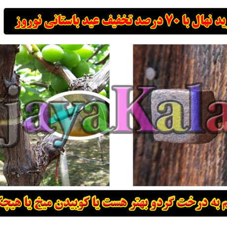 بستن سیم به درخت گردو بهتر هست یا کوبیدن میخ یا هیچکدام