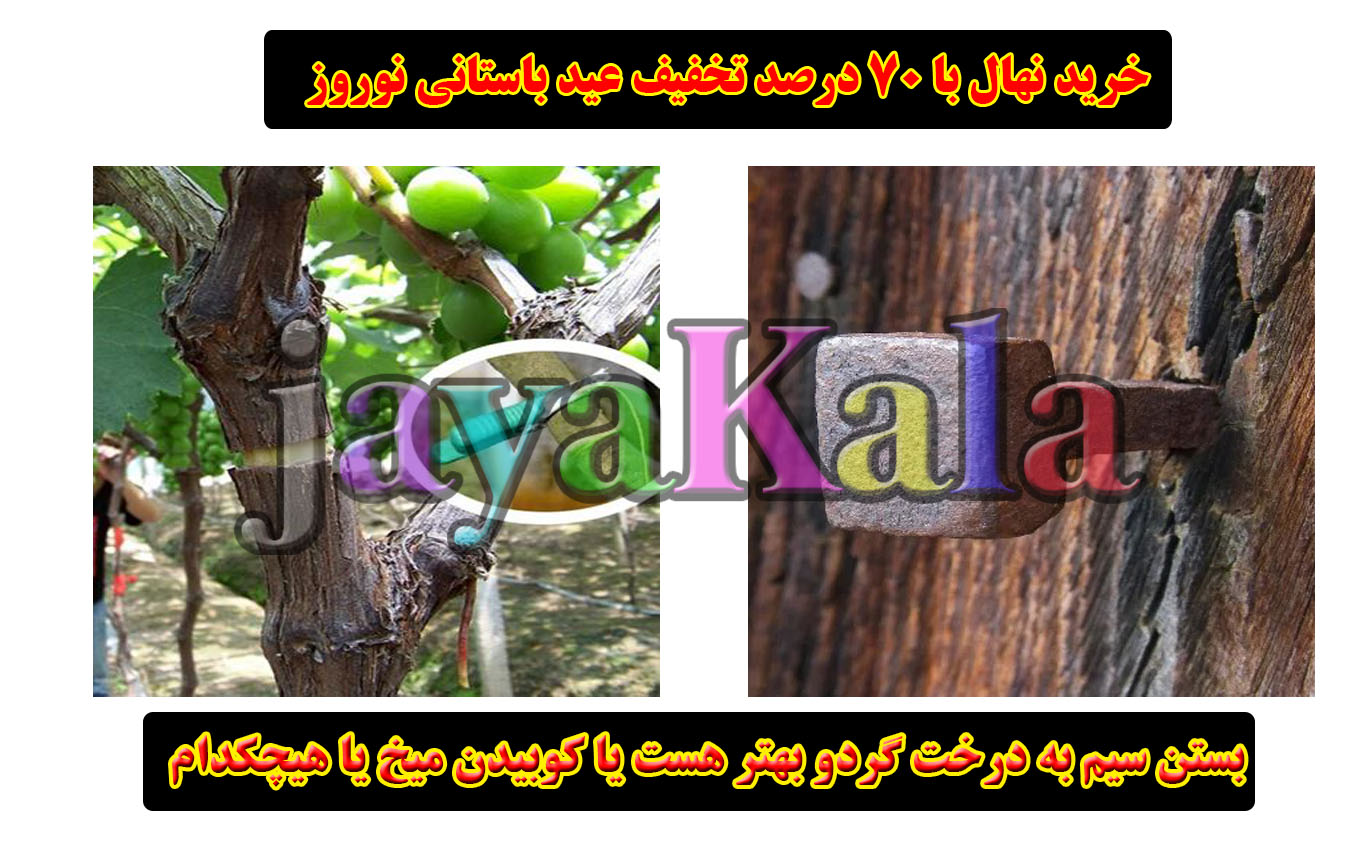 بستن سیم به درخت گردو بهتر هست یا کوبیدن میخ یا هیچکدام