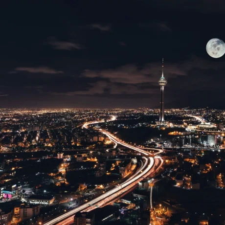 خرید نهال گردو در تهران