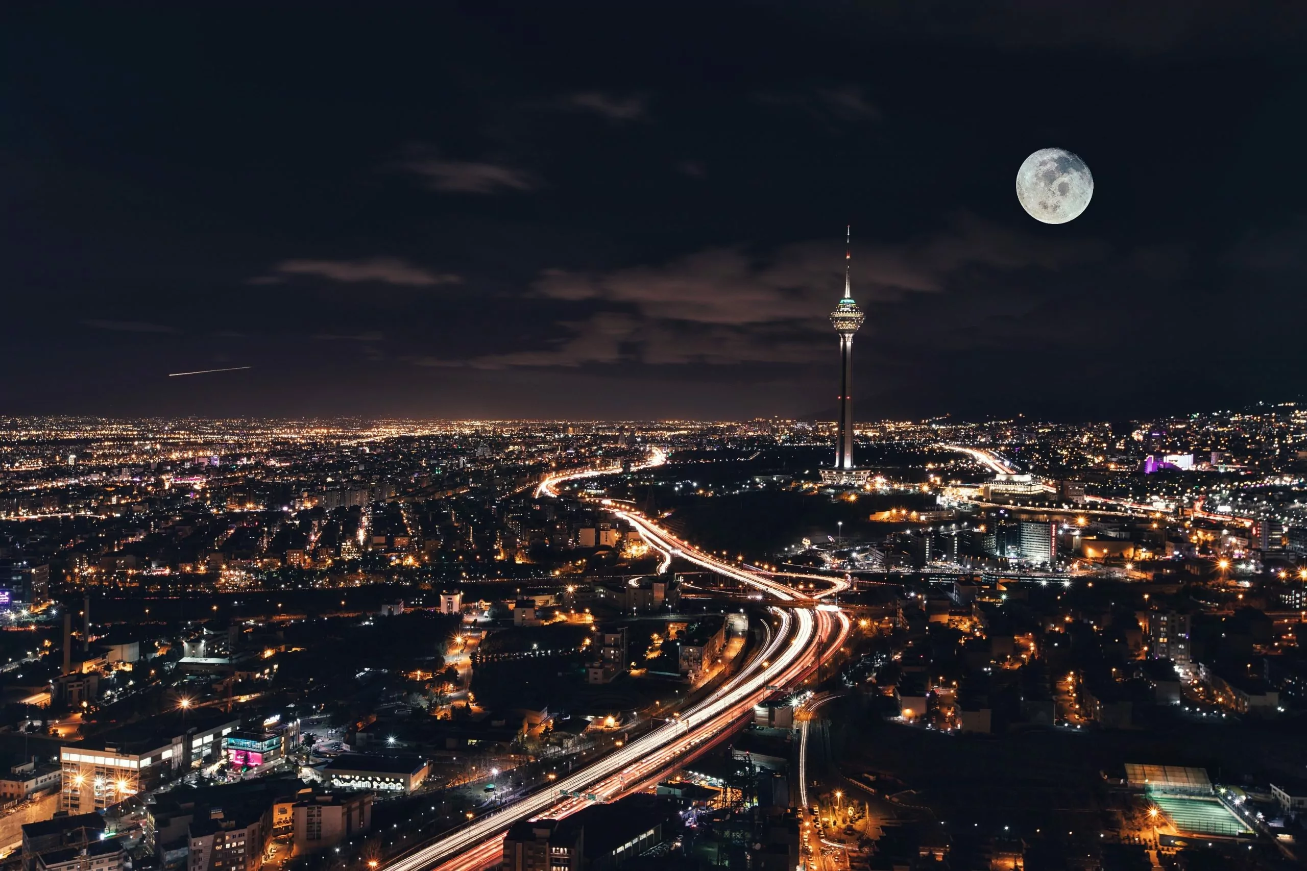 خرید نهال گردو در تهران