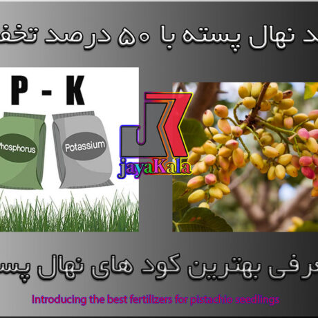 معرفی بهترین کود های نهال پسته