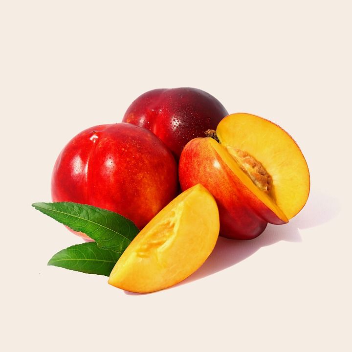 نکات مهم در تغذیه و کوددهی به نهال شلیل