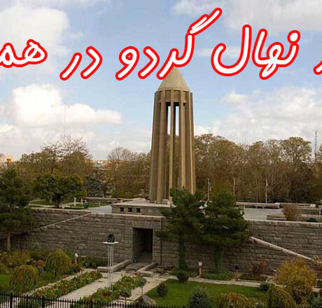 خرید نهال گردو در همدان