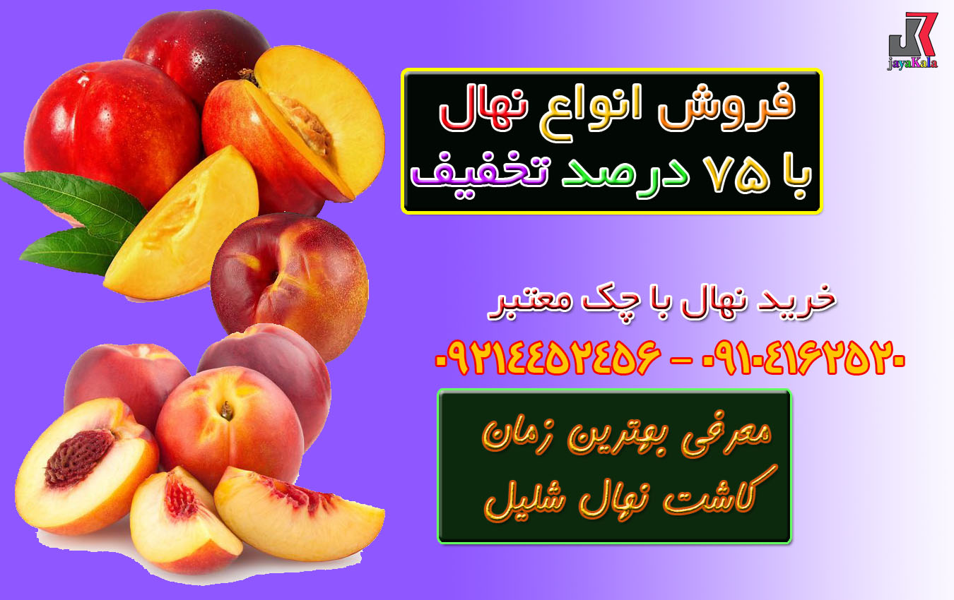 معرفی بهترین زمان کاشت نهال شلیل