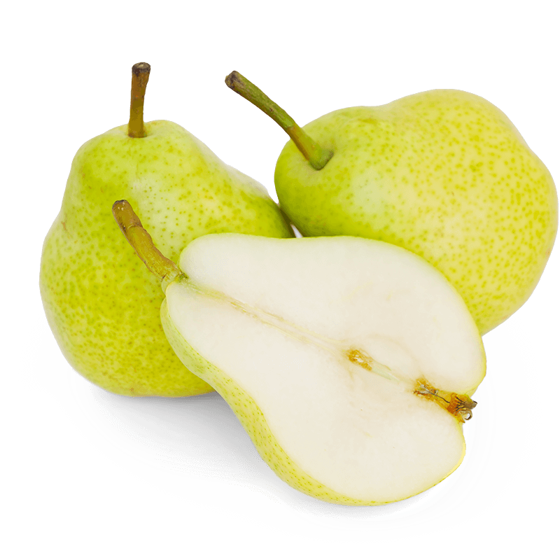 خرید نهال گلابی بیروتی