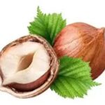 نهال فندق فرتیل دو کوتارد فرانسوی