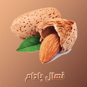 نهال-بادام