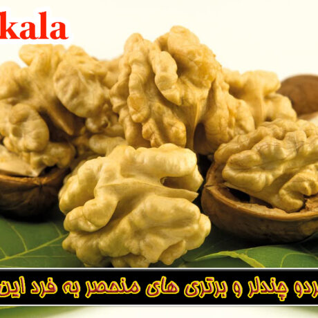 نهال گردو چندلر و برتری های منحصر به فرد این گردو