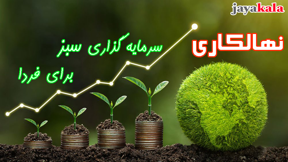 نهالکاری سرمایه گذاری سبز برای فردا