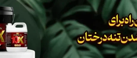 بهترین راه برای کلفت شدن تنه درختان