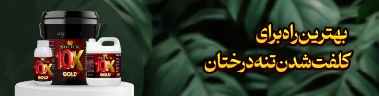 بهترین راه برای کلفت شدن تنه درختان