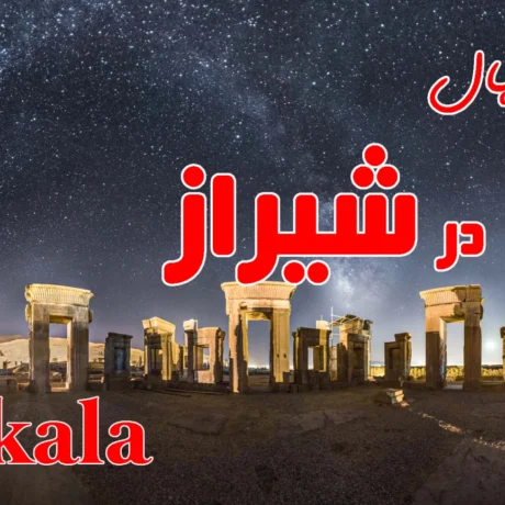 خرید نهال در شیراز