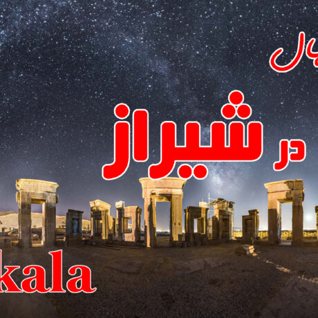 خرید نهال در شیراز