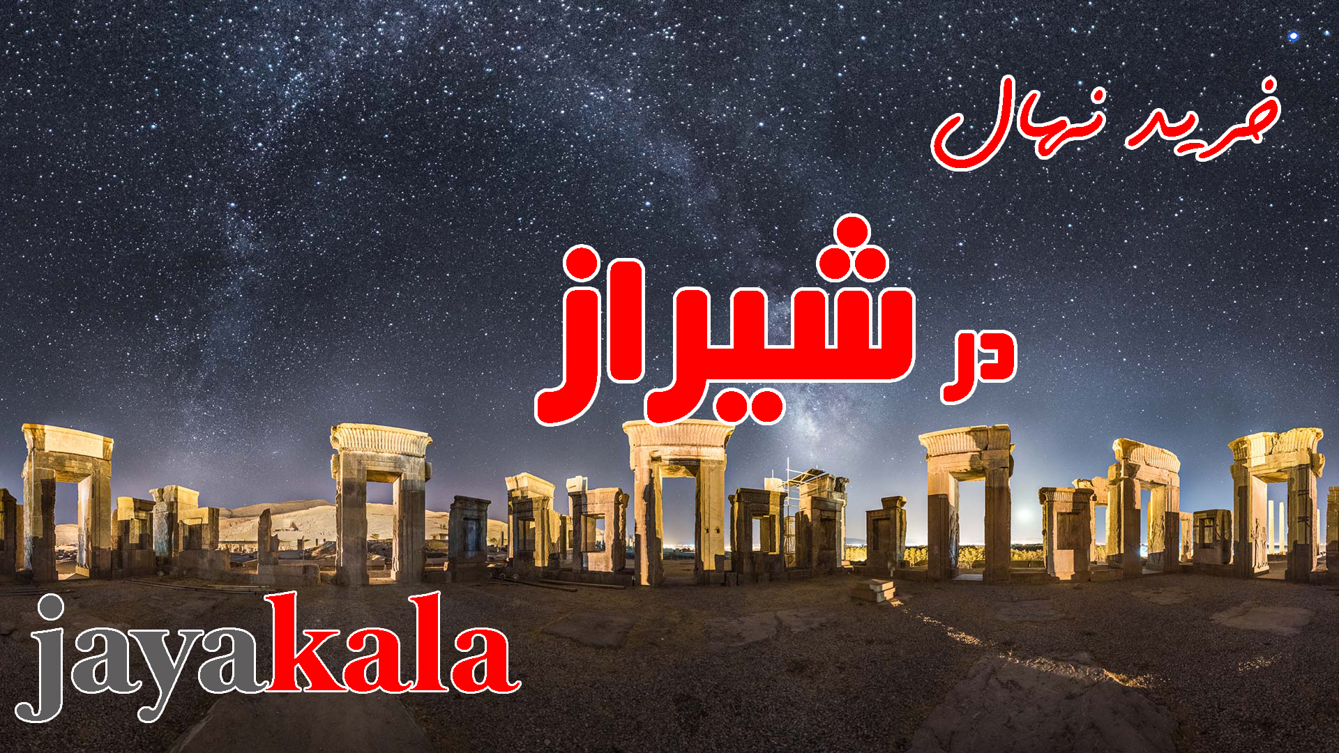 خرید نهال در شیراز