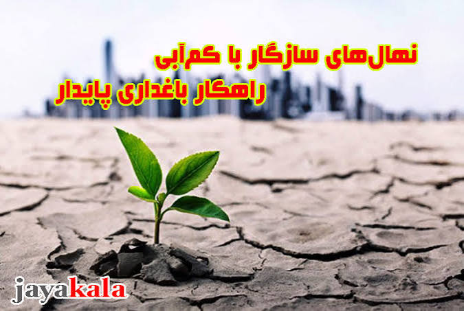نهال‌های سازگار با کم‌آبی؛ راهکار باغداری پایدار