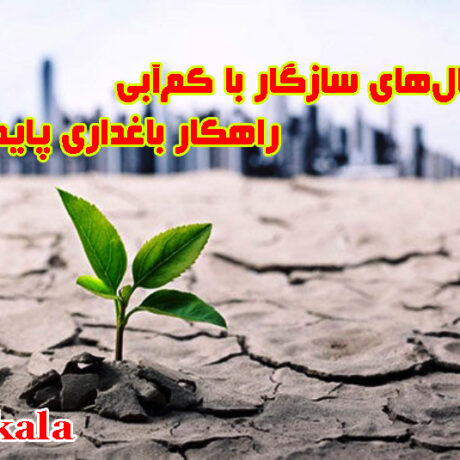 نهال‌های سازگار با کم‌آبی؛ راهکار باغداری پایدار