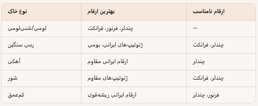 اثر نوع خاک بر انتخاب رقم گردو