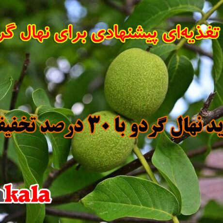 برنامه تغذیه‌ای پیشنهادی برای نهال گردو
