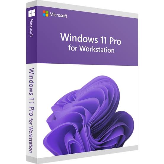 Windows 11 Pro Workstation