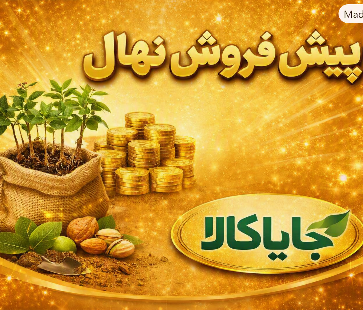 پیش‌فروش نهال با قیمت ویژه – فرصت طلایی برای باغداران