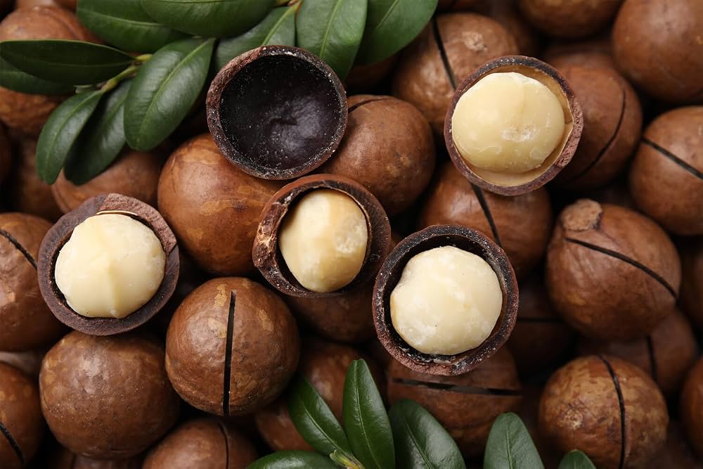 سودآوری باغ ماکادمیا